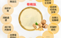 核桃肽对大脑的作用,核桃肽对改善睡眠效果如何？