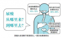 痛风非发作期常用的抑制尿酸生成的药物别嘌醇和非布司他的区别