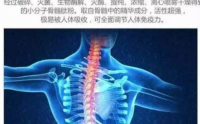 益生元牛骨髓胶原蛋白肽全面介绍