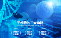 干细胞是什么有什么作用？干细胞对身体健康有哪些影响？