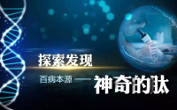 《科技探索》过了30岁人人都缺肽，都要补肽！
