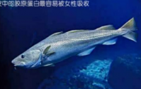 补肽对身体健康的作用,小分子肽是不是骗人的?