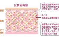 揭秘：为什么吃鱼胶原蛋白肽皮肤越来越好了？