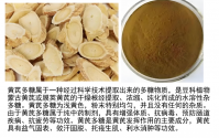 黄芪多糖抗肿瘤作用机制,黄芪多糖抗肿瘤效果好吗?
