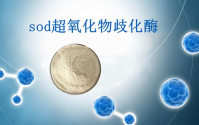 sod超氧化物歧化酶对疾病的作用,sod超氧化物歧化酶能长期服用吗?