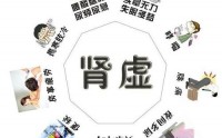如何调理男人肾虚？肾阳虚和肾阴虚的的表现有哪些？