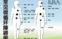 微循环不好怎么办？地龙蛋白真能溶解血栓改善微循环吗？