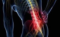 间充质干细胞治疗腰椎间盘退行性病变和腰椎间盘突出的应用研究