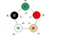 肺气足肾气自然旺