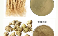 人参黄精复合多糖在免疫调节与抗疲劳的营养价值及应用研究