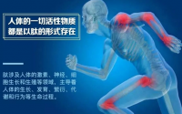 小分子活性肽对股骨头坏死效果好吗?