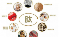 小分子肽是骗人的吗？哪个牌子的小分子肽效果好