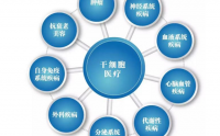 干细胞抗衰老原理，干细可有从哪些方面改善体质