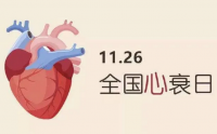 小分子肽对心衰管用吗？肽能不能增加心脏动力？
