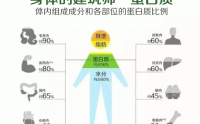 小分子肽是更高级别的蛋白质营养，喝蛋白粉不如喝肽！