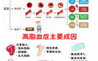 活性肽促进细胞新陈代谢的作用,肽调节脂代谢异常多久见效?