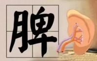 脾不好学会这一招竟然能补脾胃