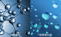 都说有胶原蛋白小分子肽能改善皮肤.真实内情况的太意外了......