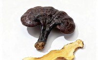 灵芝黄精复合多糖对改善心肺功能的作用机制,应用效果怎么样？