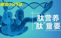 小分子肽对人体有哪些作用，小分子肽产品还能火多久？