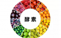 酵素对身体的作用，长期喝酵素对身体好吗