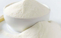 乳清蛋白是什么怎么服用每天用量