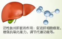 活性肽在肝损伤中的应用效果怎么样,活性肽适合肝功能不好的人服用吗？