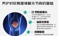肽能修复骨关节吗？吃六本木软骨胶原蛋白肽片对关节炎有作用吗？