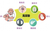 痛风病人饮食禁忌:痛风病人可以吃肉喝酒吗?
