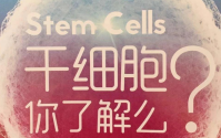 干细胞是什么？干细胞的功能与作用？干细胞治疗的前景与展望