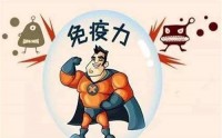 机体免疫力平衡对预防新冠病毒的作用