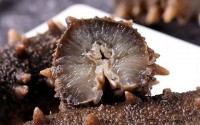 百德福海参肽有什么营养作用？百德福海参肽食用方法！