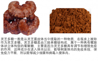 灵芝多糖的作用与功效，灵芝多糖能抗衰老吗？