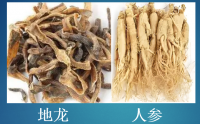 地龙蛋白人参肽能预防血栓吗,地龙蛋白人参肽通血管效果好吗？