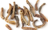 地龙蛋白对脑血栓中风的效果怎么样？用多久能看到效果？