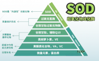 未来生物sod三合酶作用机制,未来生物sod三合酶效果怎么样？