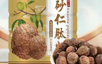 砂仁肽粉养胃效果好吗？砂仁肽粉品牌排名？砂仁肽粉价格多少钱一盒？