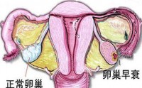 为什么女人需要补肽？小分子活性肽与调节女性生理健康！