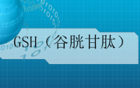 什么是谷胱甘肽？谷胱甘肽的功效与作用