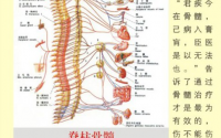 同源双青组合牛骨髓产品真的有那么"神"吗?