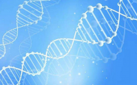 小分子肽营养身体对健康状况的整体改善