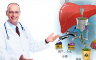肝不好的人喝什么肽好？