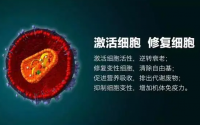 什么是肽？肽有什么优势