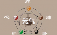 元气与五脏健康，吃什么补元气快