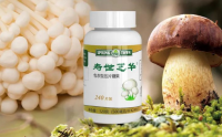寿世芝华主要成分与作用