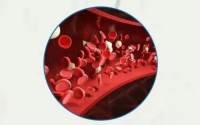 鹿心血地龙蛋白肽是什么？鹿心血地龙蛋白肽的作用