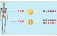 骨胶原蛋白肽适合什么人吃,骨胶原蛋白肽的用法用量.