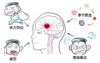 脑溢血人群服用小分子效果好吗