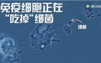 免疫力不单是用来抗病毒的，免疫力与慢性疾病息息相关