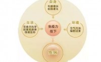 补肾强骨以增强免疫生发之源